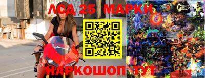 spice Кунгур