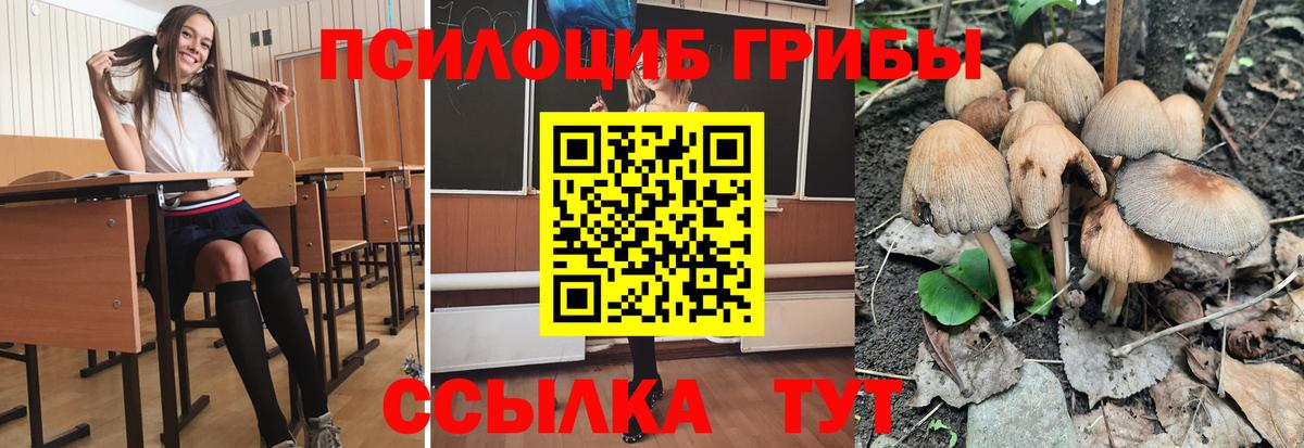 Егорьевск  Псилоцибиновые грибы GOLDEN TEACHER  даркнет сайт  Галлюциногенные грибы MAGIC MUSHROOMS  Вход с VPN 
